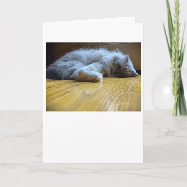 Dias Lentos, cartão (Frente)