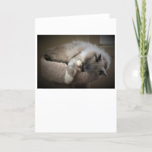 Dias Lentos, cartão