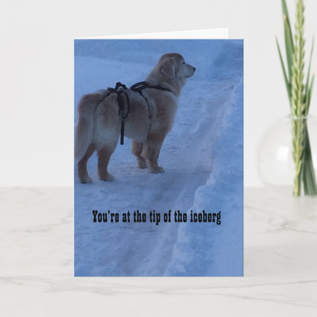 Dica do Iceberg, você tem este cartão (Frente)