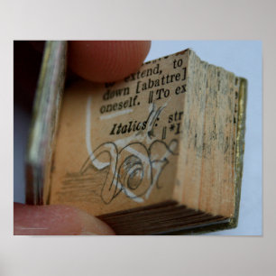 DicofrAngle Miniature Book cortou Poster de desenh