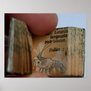 DicofrAngle Miniature Book Crayfish Poster