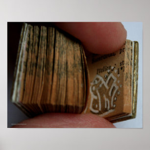DicofrAngle Miniature Book sem título Poster de de