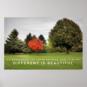 Diferente é o poster bonito