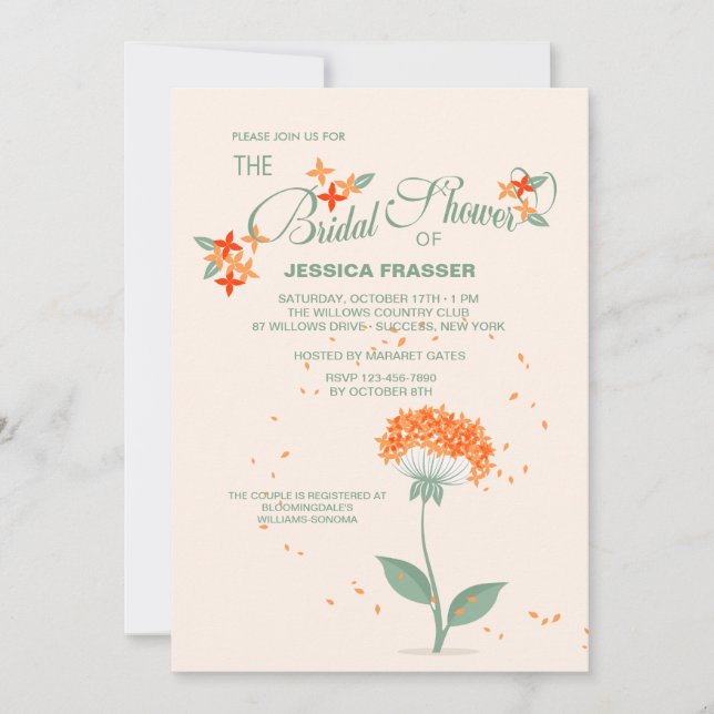 Difusão de Anúncios (Frente)