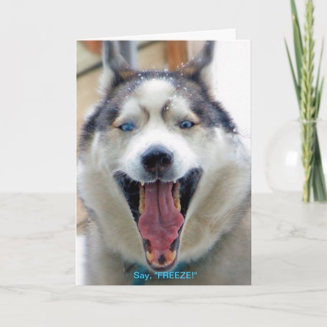 Diga, "CONGELE" o cartão (Frente)