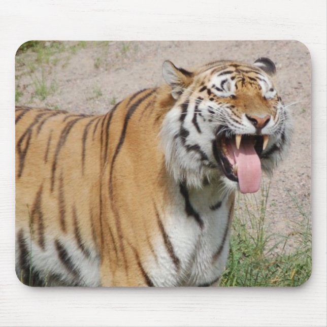 Diga o tigre Mousepad do queijo (Frente)