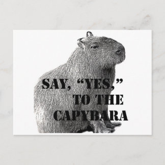 Diga "Sim" ao Cartão Postal do Capivara