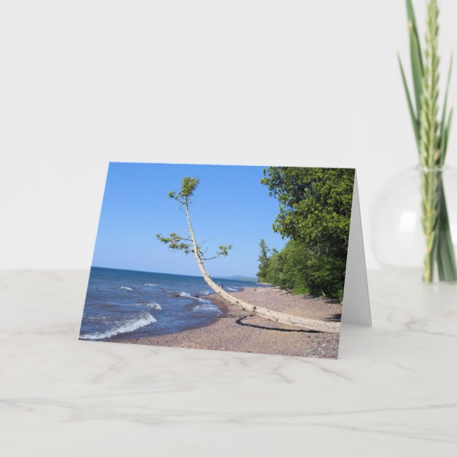 Diligently procurando - cartão da escritura (Frente)