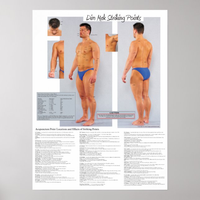 Dim Mak Death Striking Points Poster 18 X 24 (Frente)