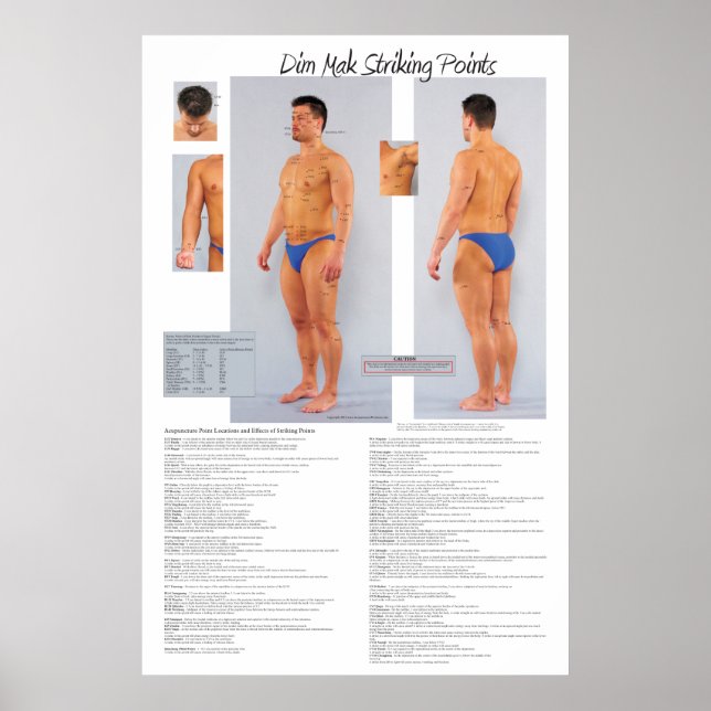 Dim Mak Death Striking Points Poster 24 X 36 (Frente)