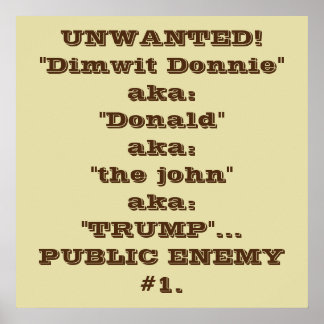 "Dimwit Donnie" Trump, inimigo público #1 poster