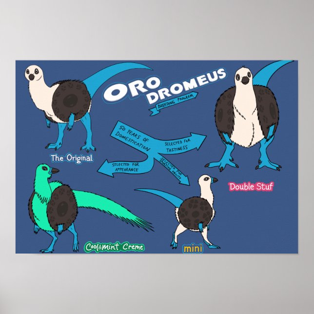 Dinossauro poster - Orodromeus (Frente)