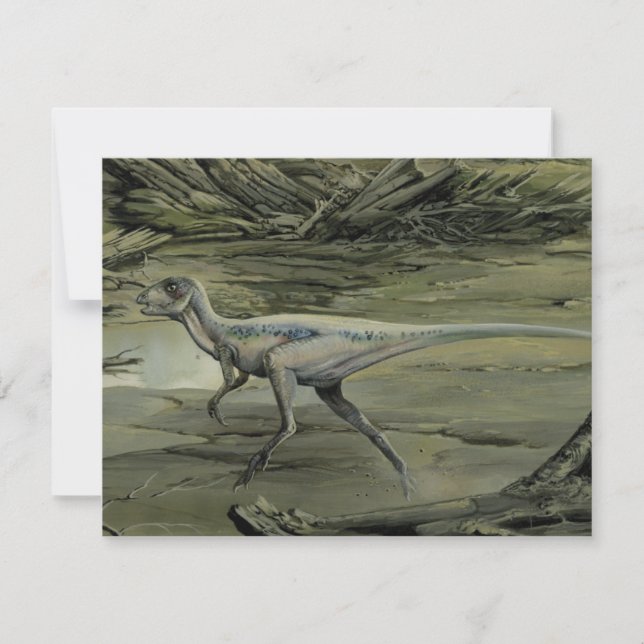 Dinossauros Antigos, um Hypsilophodon do Cretáceo (Frente)