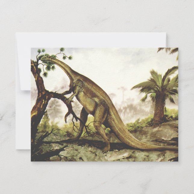 Dinossauros Vintage, Plateossauro Pastando em Árvo (Frente)