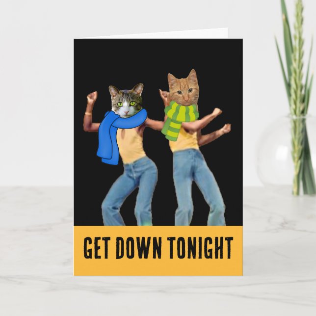DISCO CAT CATS CARTÃO DE NASCIMENTO FUNNY GREETING (Frente)