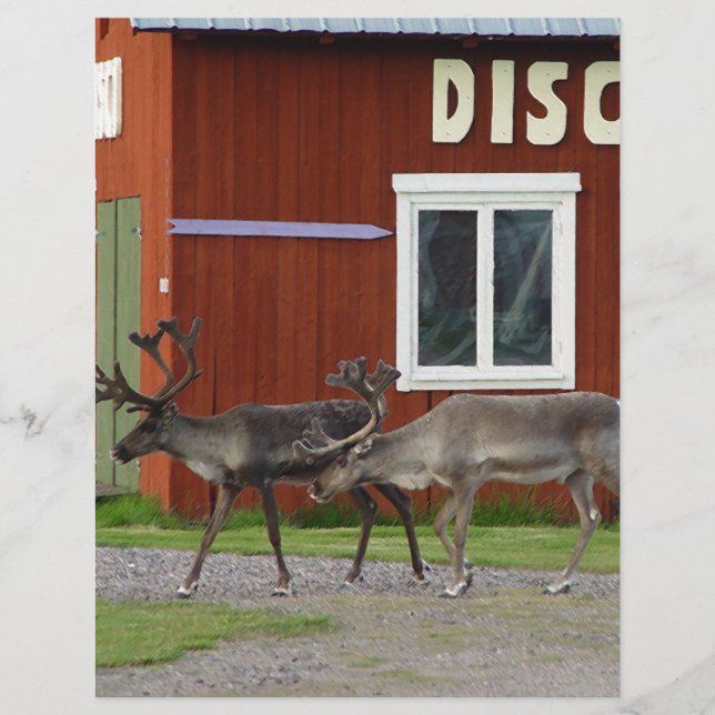 DISCO DEER (Frente)