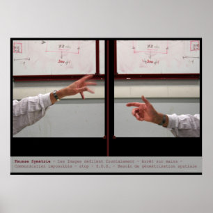 Distort Symmetry Fausry Symetrie Poster