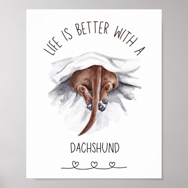 Diversão Dachshund Wall Art Poster (Frente)