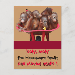 Diversão de Novo Anúncio de Endereço