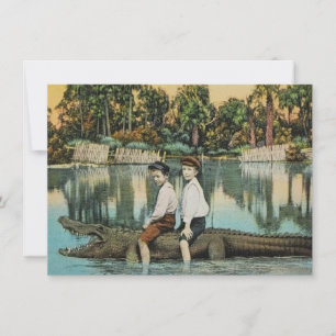 Diversão do Alligator da Flórida