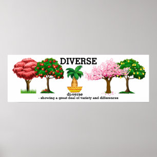 DIVERSO - Poster de vocabulário