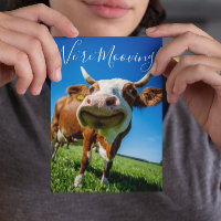 Divertido Anúncio de Mudança de Estamos de Mudança