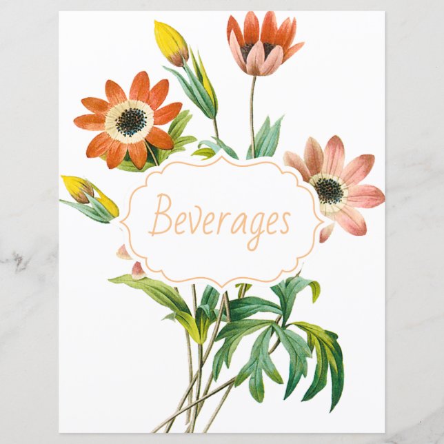 Divisor/Índice de Receitas da Anemia Botânica (Frente)