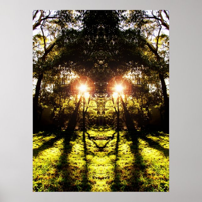 DMT 'AURUS Forest Poster (Frente)