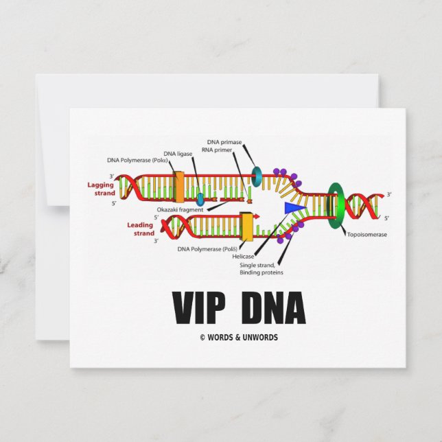 DNA VIP (DNA Replication Humor) (Frente)