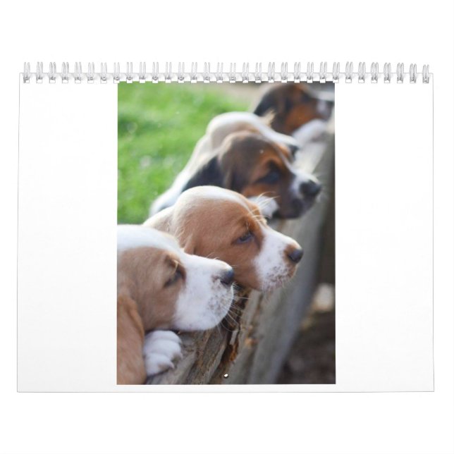 do calendário cão 2019 de Basset (Capa)