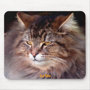 Do "Gato-amante Mousepad do racum de Maine da