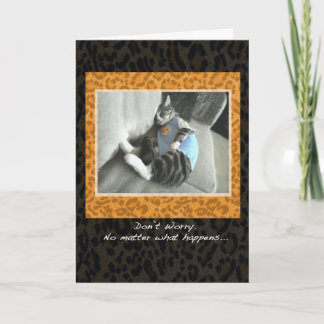 Do gato dos pijamas do elogio cartão acima