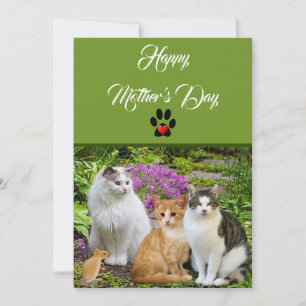 Do Gato Feliz Dia das Mães Cartão Plano