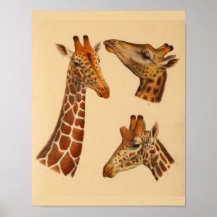 Do impressão animal da arte do girafa do vintage