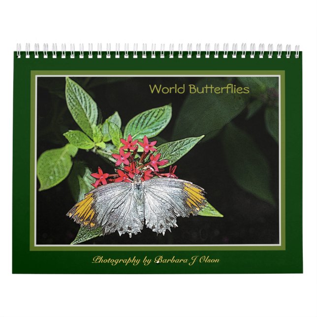 * Do mundo das borboletas calendário 2019 de (Capa)