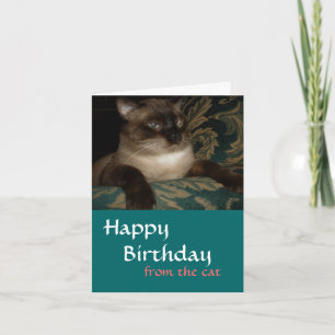 Do Seu Gato - Cartão de Aniversário de Gato Siames
