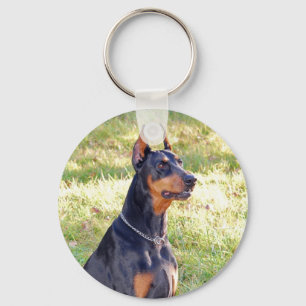 Doberman Chaveiro