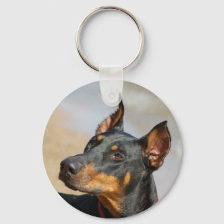 Doberman Chaveiro