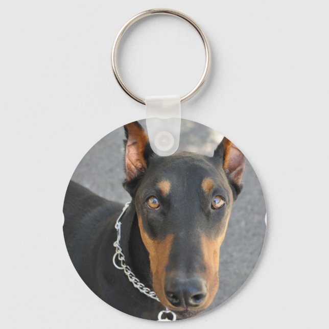 Doberman Pinscher Chaveiro (Frente)