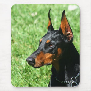 Doberman Pinscher mousepad