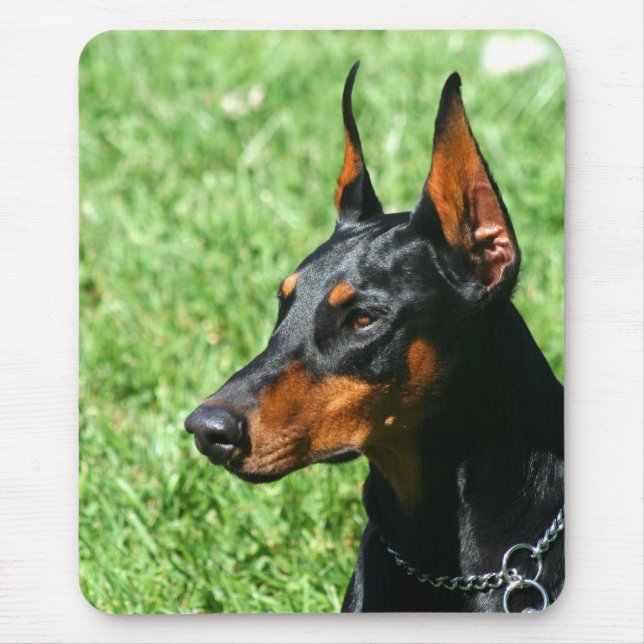 Doberman Pinscher mousepad (Frente)