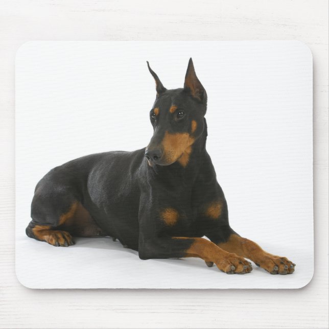 Doberman Pinscher Puppy Dog Mousepad (Frente)