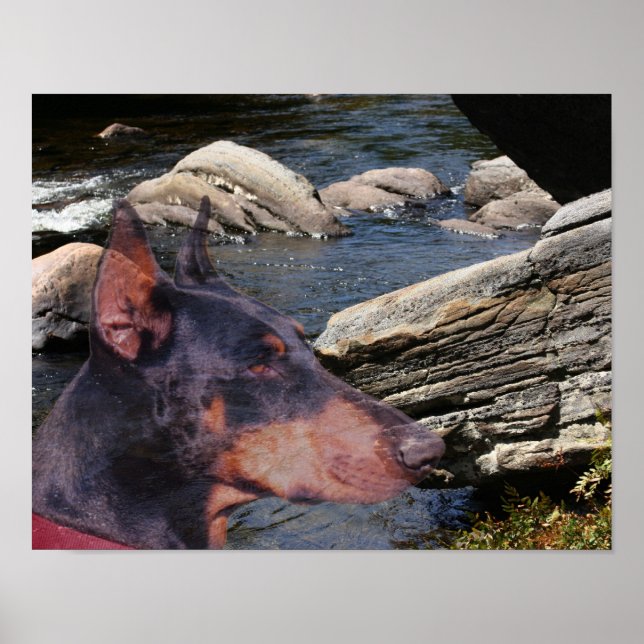 Doberman River Rocks Fantasy Art Poster (Frente)