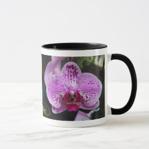 Dobro roxo da orquídea com a caneca da campainha
