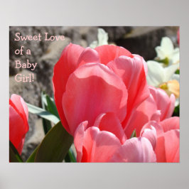 Doce Amor de Menina arte impressões Tulipas Rosa