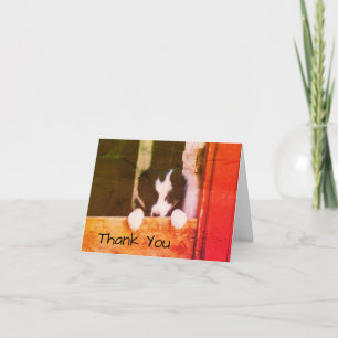 Doce Borda Collie Puppy Dog Art Cartões de agradec