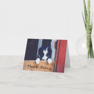 Doce Borda Collie Puppy Dog Cartões de agradecimen