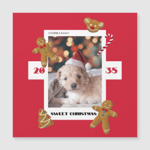 Doce foto personalizada de Natal de animal de esti