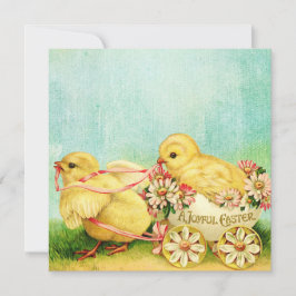 Doces Pintinhos Cartões Páscoas Personalizar Texto