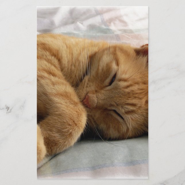 Doces Sonhos (Frente)